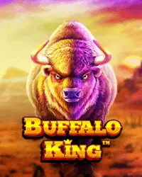 Buffalo King